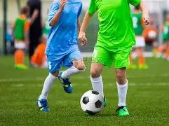 郑钦文与焦,科维奇,友情盛宴精,新葡京,新葡京app,新葡京娱乐,新普京赌场